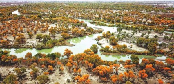 塔里木河全长多少千米