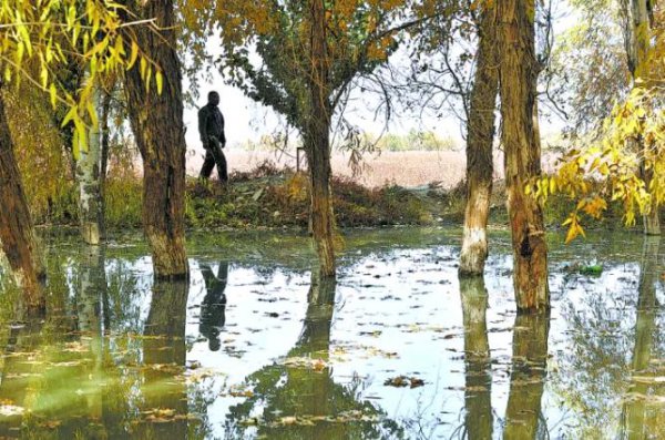 塔里木河全长多少千米