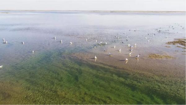 塔里木河全长多少千米