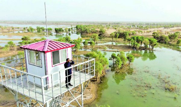 塔里木河全长多少千米