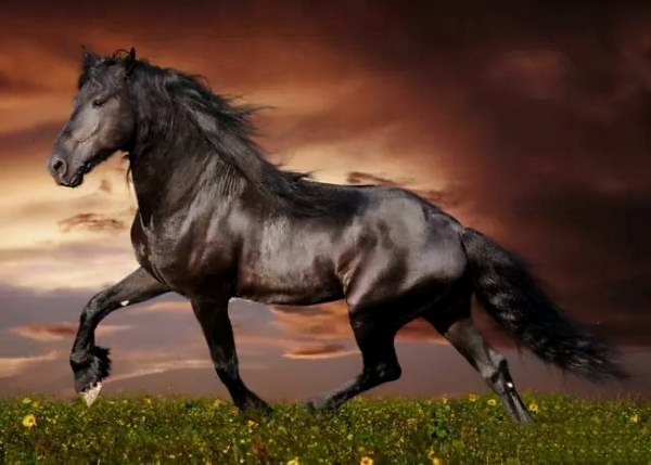 中国古代十大名马排名