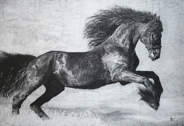 中国古代十大名马排名