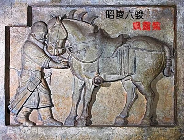 中国古代十大名马排名