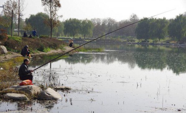 冬季鱼不开口用什么方法解决