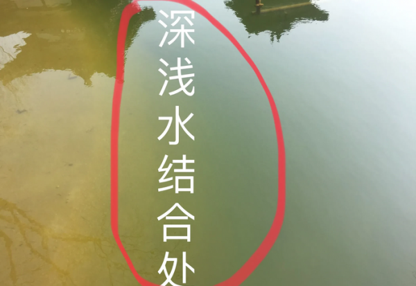 冬季鱼不开口用什么方法解决