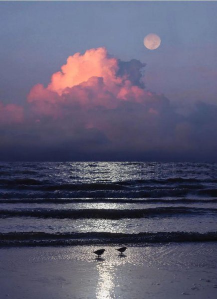 男生对你宠溺的动作