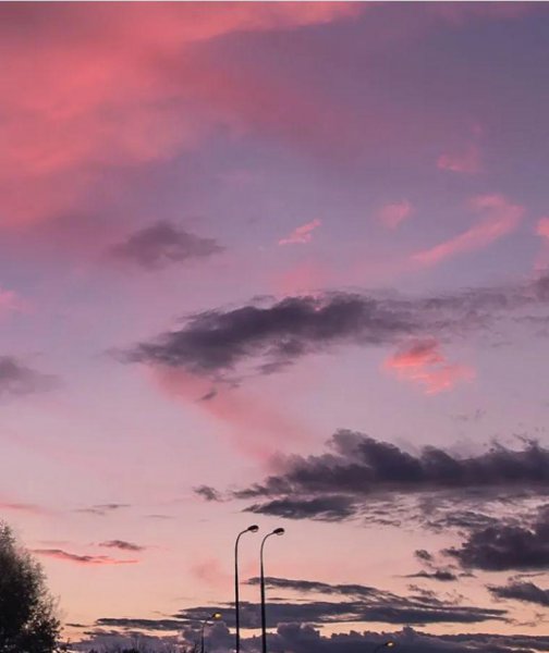 男生对你宠溺的动作