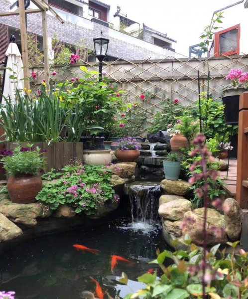 池塘养鱼怎么养水最好