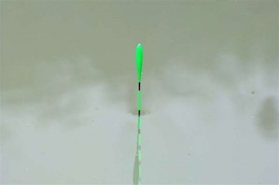 钓鱼浮漂怎么调最简单 钓鱼调漂又快又准的正确方法