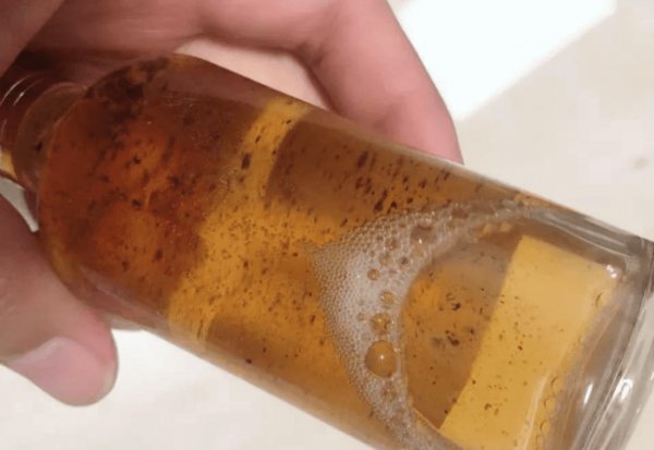 麝香酒钓鱼真的好用吗