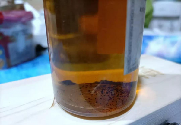 麝香酒钓鱼真的好用吗