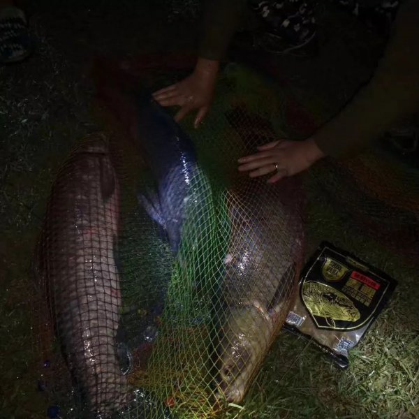 夜钓的技巧钓鱼教你如何夜钓