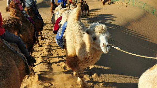 中国沙漠景区排名