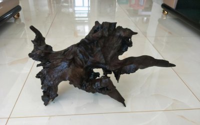 沉木长白毛怎么处理 木头上面的白毛对鱼类有害吗