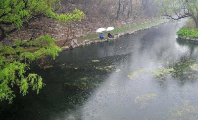 下小雨钓鱼好钓吗 下小雨钓鱼与季节时间有什么关系