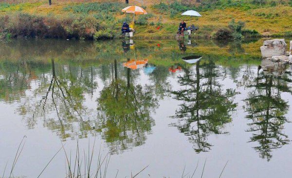 下小雨钓鱼好钓吗