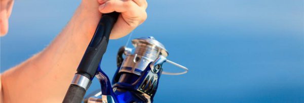 鱼线几号线什么意思