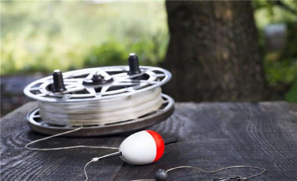 鱼线几号线什么意思