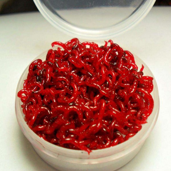 钓鱼时红虫饵使用方法