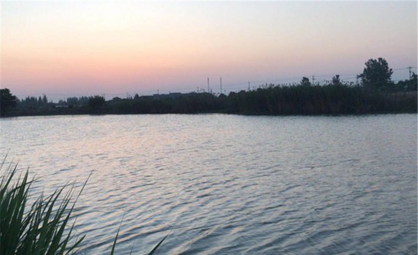 夜钓草鱼钓底还是钓浮