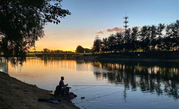夜钓草鱼钓底还是钓浮