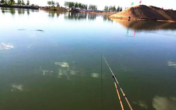 三月为什么不能钓鱼