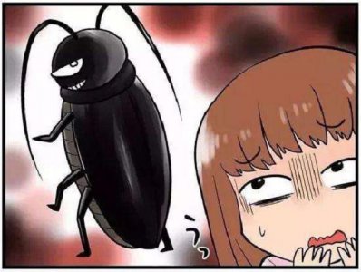 怎么找蟑螂源头在哪里 家庭怎样除蟑螂窝最快速有效