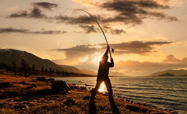 路亚竿调性怎么选择