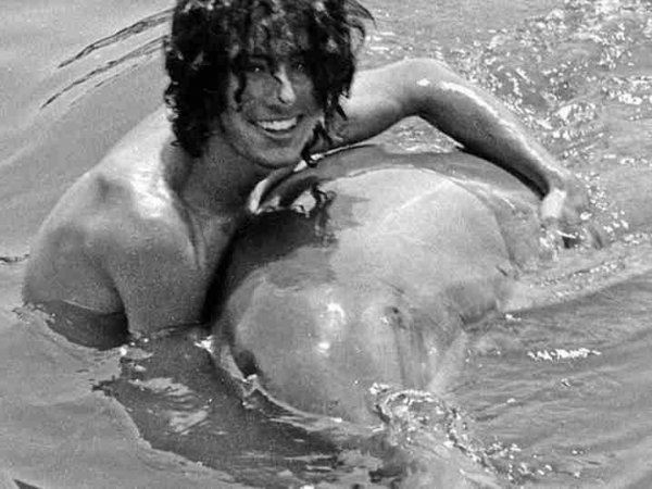 海豚侵犯人类事件有哪些