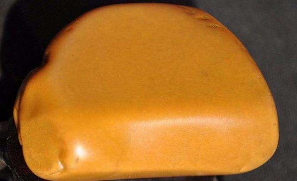 小青龟是深水龟还是浅水龟