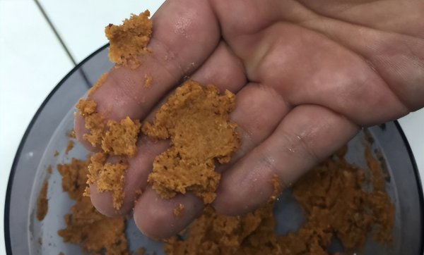 钓鱼技巧饵料有哪些