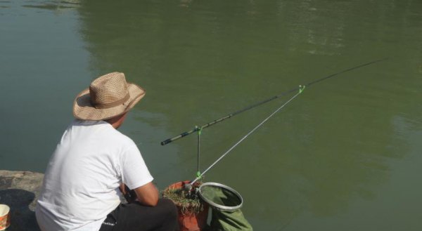 钓鱼技巧饵料有哪些