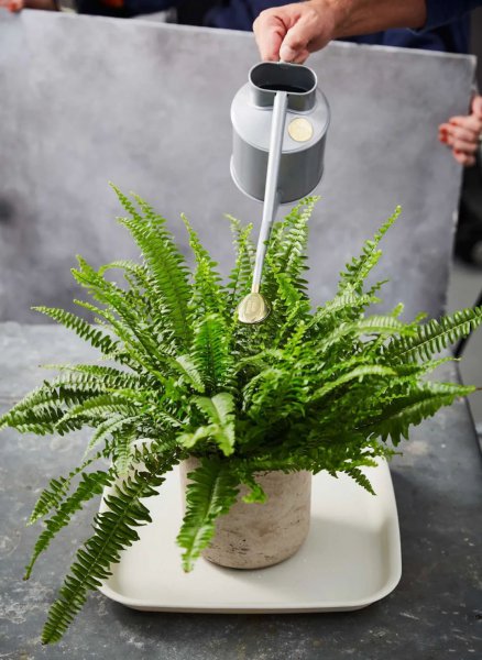 自来水ph值多少为正常