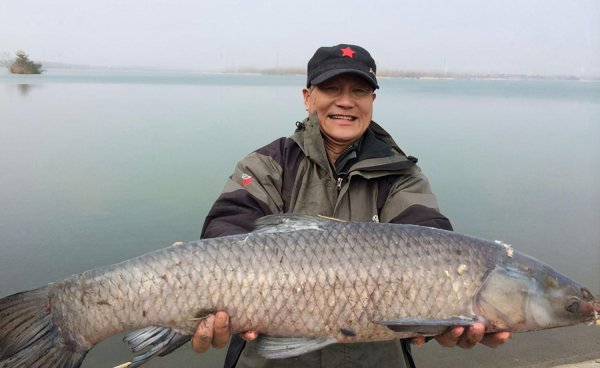 钓青鱼绝招和技巧有哪些