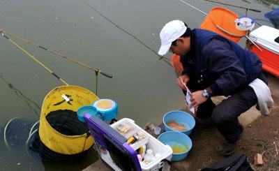 钓鲫鱼用什么打窝 三分钟发窝速度快的鲫鱼窝料配方