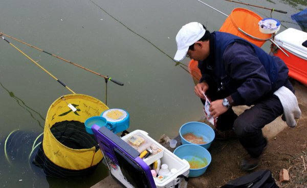 钓鲫鱼用什么打窝