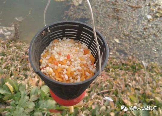 搓饵和拉饵的区别