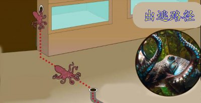 章鱼的智商到底有多高 章鱼智商这么高属于智慧生物吗