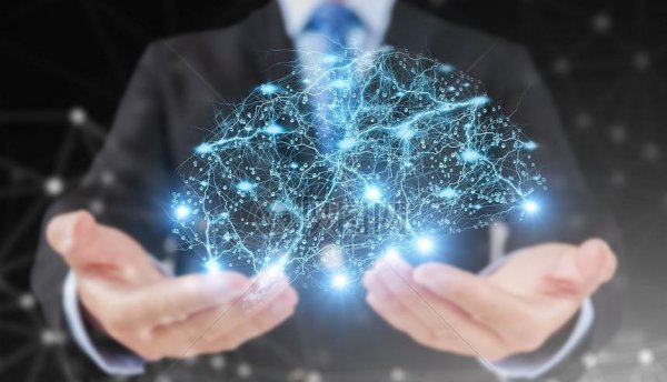 章鱼的智商到底有多高