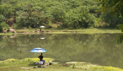 夏天下雨后好钓鱼吗 为什么在雨后去钓鱼没有鱼口