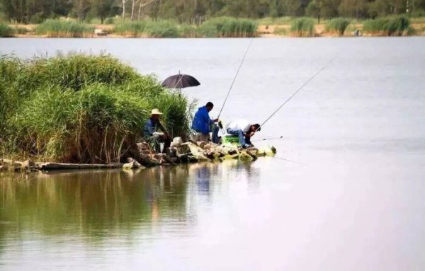 夏天下雨后好钓鱼吗