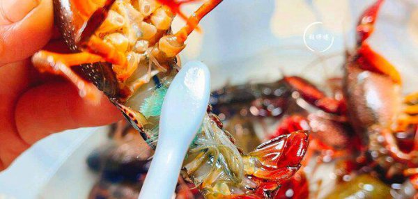 龙虾怎么洗才干净