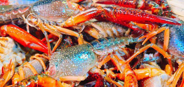 龙虾怎么洗才干净