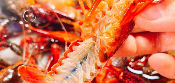 龙虾怎么洗才干净