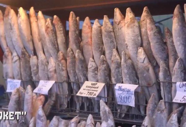 世界上最冷的城市