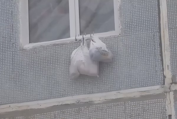 世界上最冷的城市