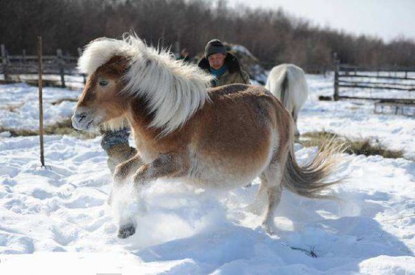 世界上最冷的城市