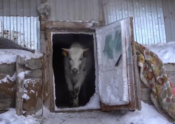 世界上最冷的城市