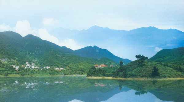 义乌是哪个省的地方