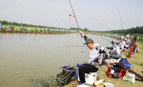 黑坑钓鱼调漂的正确方法